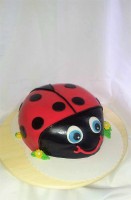 /album/fotogalerie-detske-dorty/a20180123-160104-jpg/