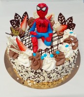 /album/fotogalerie-detske-dorty/img-20220110-124506-jpg1/