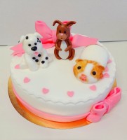 /album/fotogalerie-detske-dorty/img-20220208-190227-jpg/