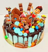 /album/fotogalerie-detske-dorty/img-20220208-191830-jpg1/