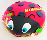 /album/fotogalerie-detske-dorty/img-20220406-110300-jpg/