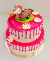 /album/fotogalerie-detske-dorty/img-20220513-151433-jpg/