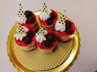 /album/fotogalerie-uvodni-stranka/1000029552-jpg/